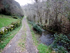 DSCN2074 DSCN2074