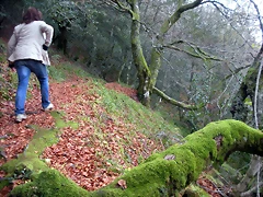 DSCN0689 DSCN0689