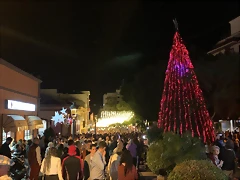 IMG-20191130-WA0025