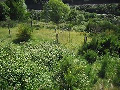 DSCF2659 DSCF2659