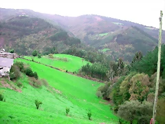 DSCN6295 DSCN6295
