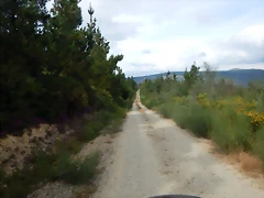 DSCN4347