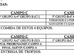 AlevinTFMesones2017-2