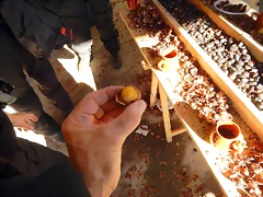 DSCN9213 DSCN9213