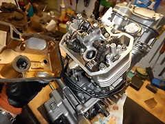 DSCN2371 DSCN2371