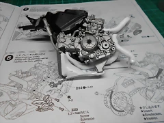 DSCN3897 DSCN3897