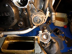 DSCN5728 DSCN5728