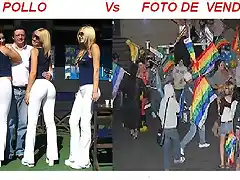 POLLO VS VENDE