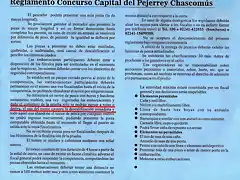 reglamento concurso de chascomus