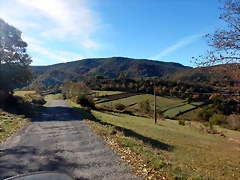DSCN0006 DSCN0006