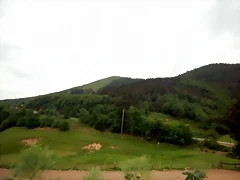 DSCN6499 DSCN6499