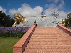 CIMG1822 CIMG1822