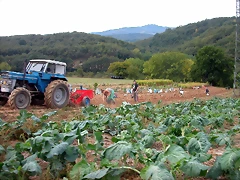 DSCN2240 DSCN2240