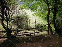 DSCN2219 DSCN2219