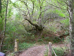 DSCN2218 DSCN2218