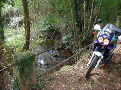 DSCN2217 DSCN2217