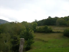 DSCN2234 DSCN2234