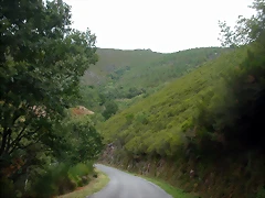DSCN2270 DSCN2270