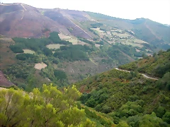 DSCN2282 DSCN2282