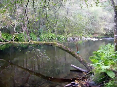 DSCN2311 DSCN2311