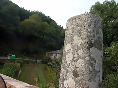 DSCN2173 DSCN2173