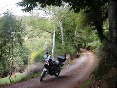 DSCN2164 DSCN2164