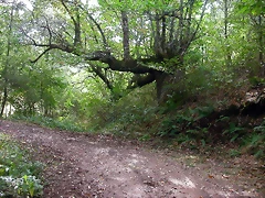 DSCN2216 DSCN2216