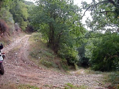 DSCN2221 DSCN2221