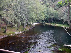 DSCN2254 DSCN2254