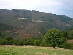 DSCN2274 DSCN2274