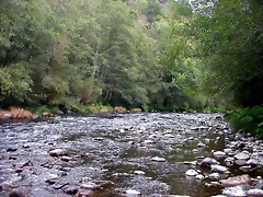 DSCN2314 DSCN2314