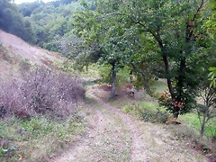 DSCN2200 DSCN2200