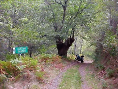 DSCN2215 DSCN2215