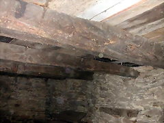 DSCN2228 DSCN2228