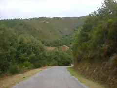 DSCN2269 DSCN2269