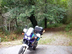 DSCN2299 DSCN2299