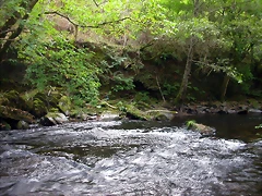 DSCN2187 DSCN2187