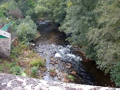 DSCN2242 DSCN2242