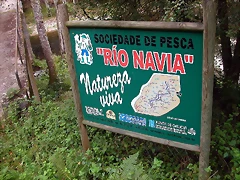 DSCN2251 DSCN2251