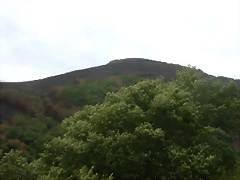 DSCN2258 DSCN2258