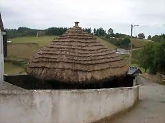 DSCN2290 DSCN2290