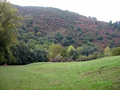 DSCN2180 DSCN2180