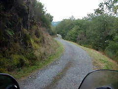 DSCN2193 DSCN2193