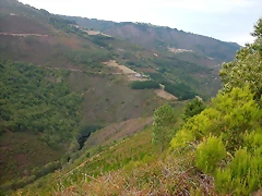 DSCN2272 DSCN2272