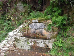 DSCN2273 DSCN2273