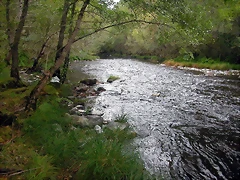 DSCN2305 DSCN2305