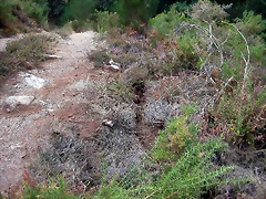 DSCN2262 DSCN2262