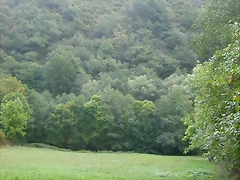 DSCN2191 DSCN2191