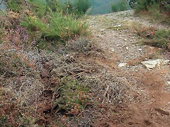 DSCN2261 DSCN2261