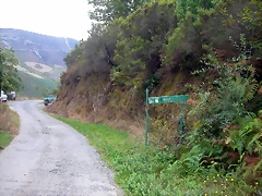 DSCN2294 DSCN2294